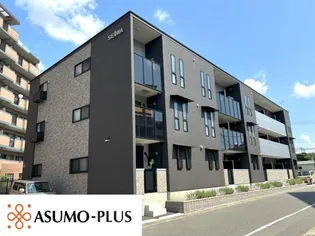 MOMOの画像