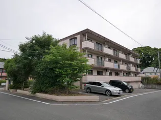 エミューデコンフォートの画像