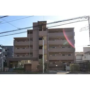 オキザリスの画像