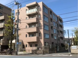 BLUE SHALLOWSの画像