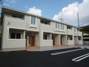 ピュアグリーンBの画像