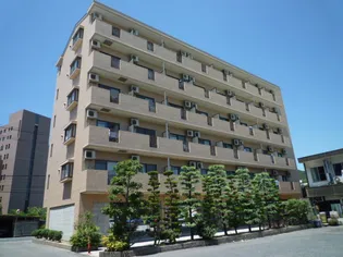 アイディアルの画像