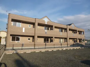 ウィッシュの画像