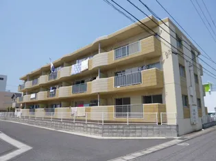 ドメスティックカーサ【3階】の外観