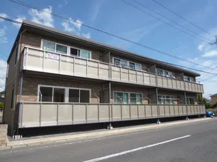 ブルーベリーBの画像