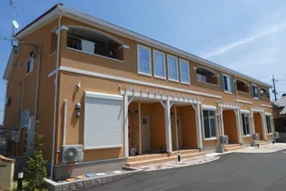 マーガレットの画像