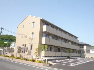 セブンシーズの画像