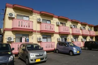 キッコウハイネスBの画像