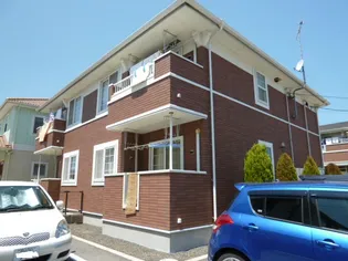 プリムローズ Bの画像