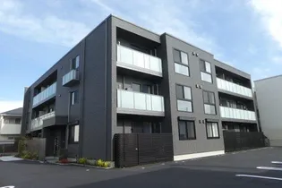 コモンドーレの画像