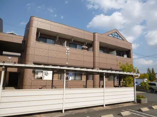 ライブフォースの画像