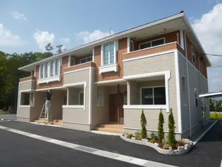 プラシードAの画像