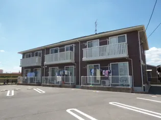 パラシオンの画像