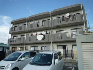 岡山県総社市中央5丁目【マンション】の外観