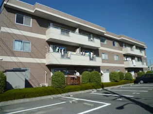 岡山県倉敷市茶屋町【マンション】の外観