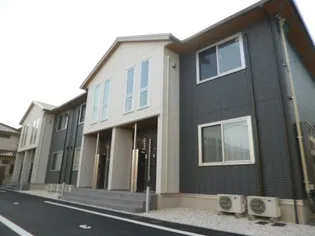 HONEY BEAR Bの画像