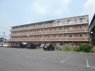 岡山県倉敷市水江【マンション】の外観