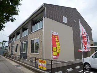 サンフラワーKの画像