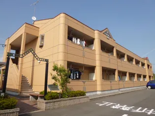 フリージアの画像