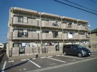フルールの画像
