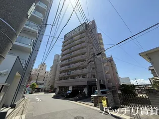 ロイヤルピジョン八田の画像