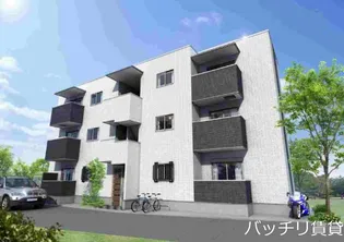 AMERI HAKOZAKIの画像