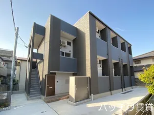 ミアンジェドゥエの画像