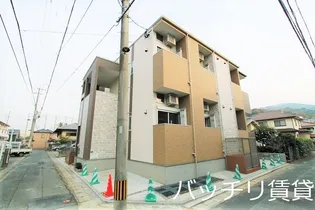 サングレインコートⅡの画像