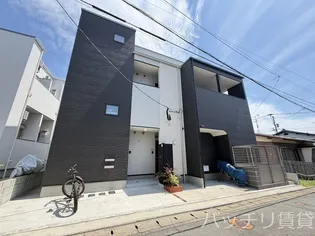 コリウスの画像