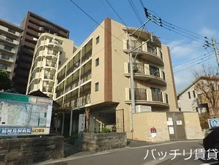 ローズモント フレア別府駅前の画像