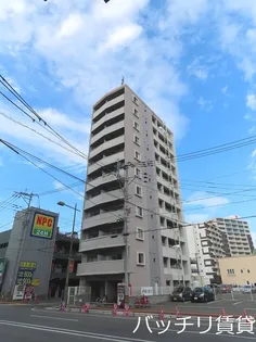 コスモス御笠川の画像