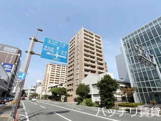 サヴォイエリートの画像