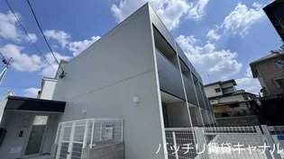 CASAMENTO CINTAの画像
