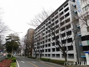 サルヴァトーレ大橋の画像