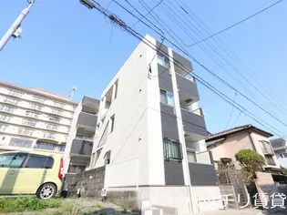 CHERIM和白Ⅲの画像