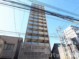 サヴォイ ザ ティファナの画像