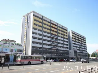 NO 82 EMPRESSの画像