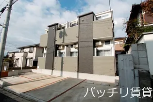 シャイニングレイ和白の画像