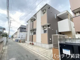 AVENIRSUCCESSO UNOの画像