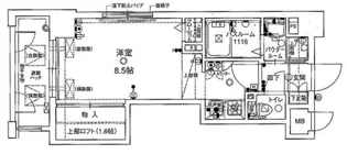 ラフォーレ天神南【5階】の間取り
