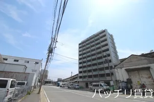 アルファシオフリードの画像