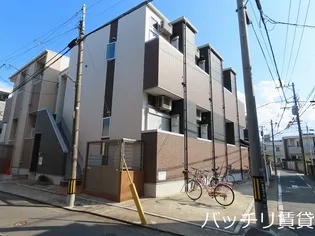 プリムローズ エムズの画像