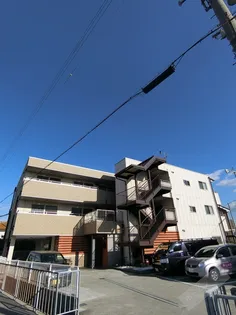 ブエナビスタ貝塚の画像