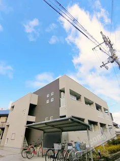 シャロル Ⅲの画像