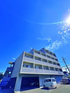 プールトゥジュールの画像