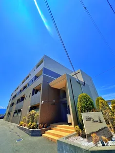 ニューファームの画像