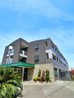 ニュー グラディオの画像