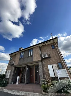 コスモス Aの画像