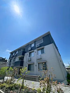 ひまわりの画像