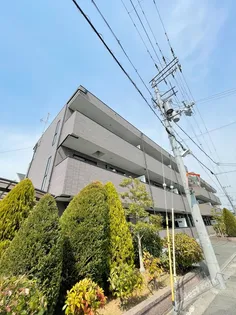 アンプルールフェールルミエール富木の画像